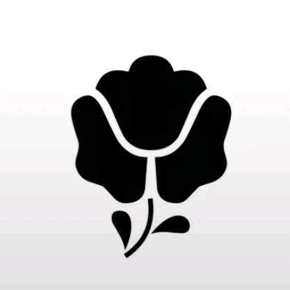 花天夏鲜花配草批发