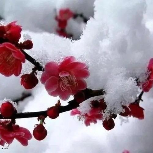 👆煙消ゞ雲散