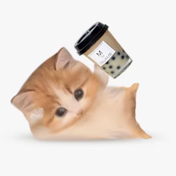 早睡早起