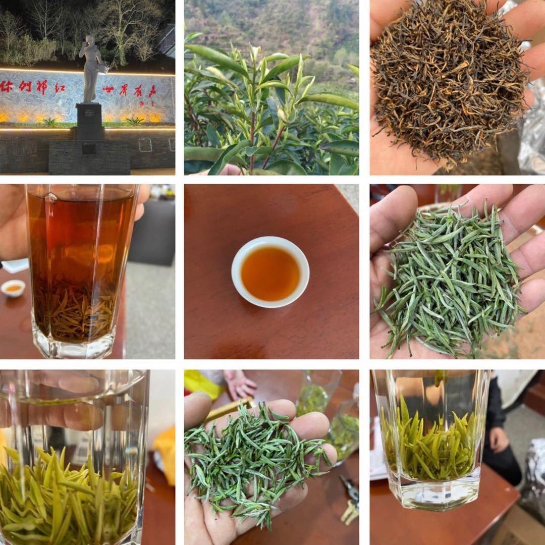 高山云雾香飘万里🔥