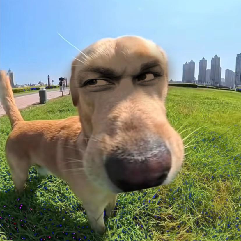 起名好难