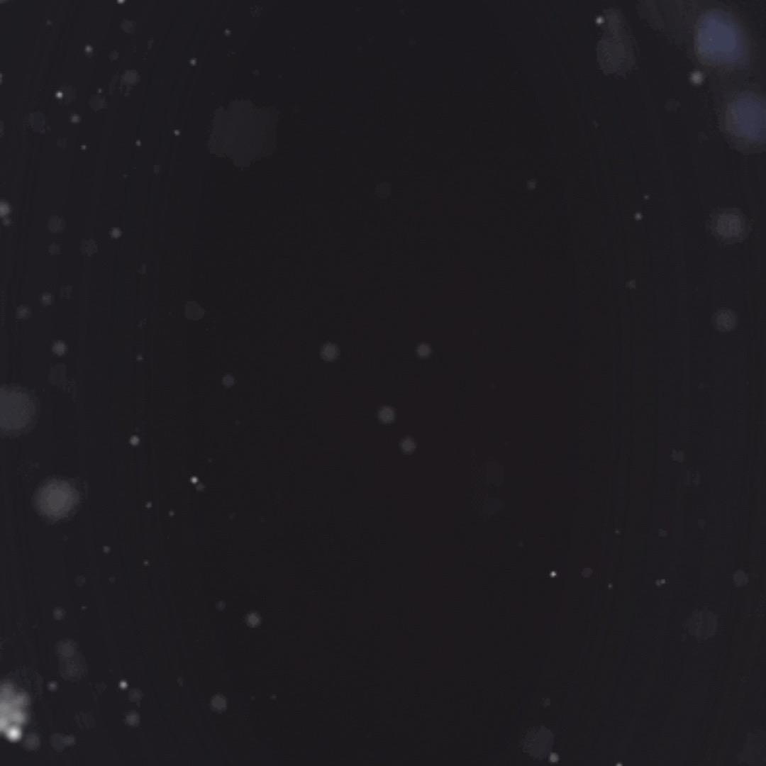 周琴