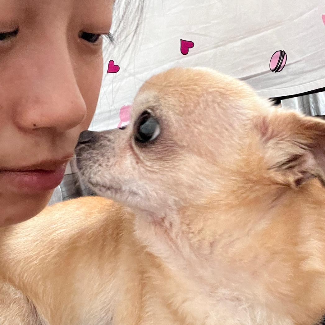 我爱小狗狗