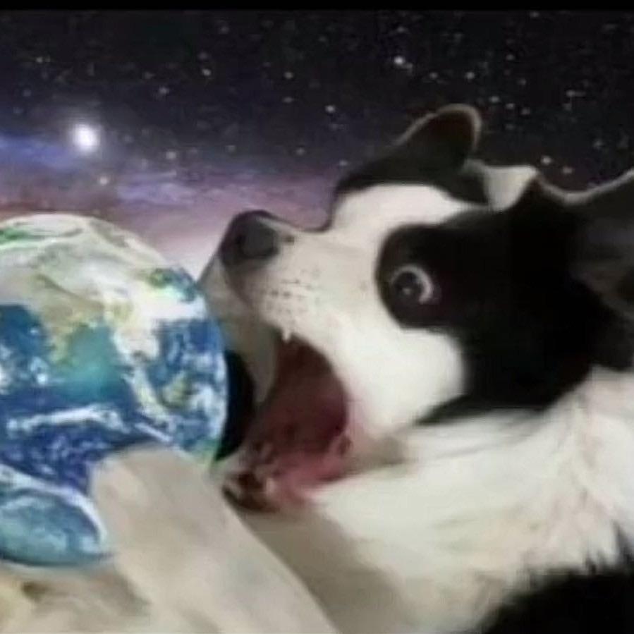王马