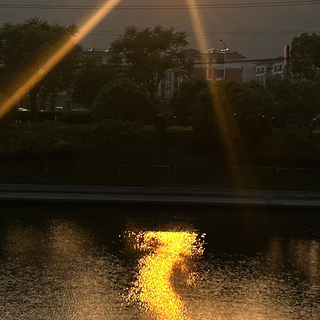 大圆脸云云