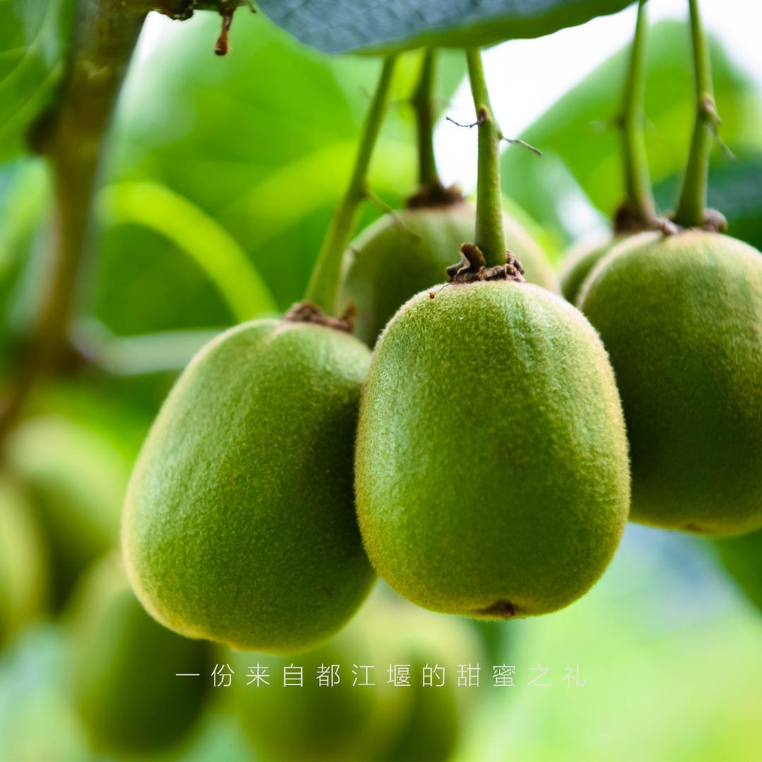 果然不错de