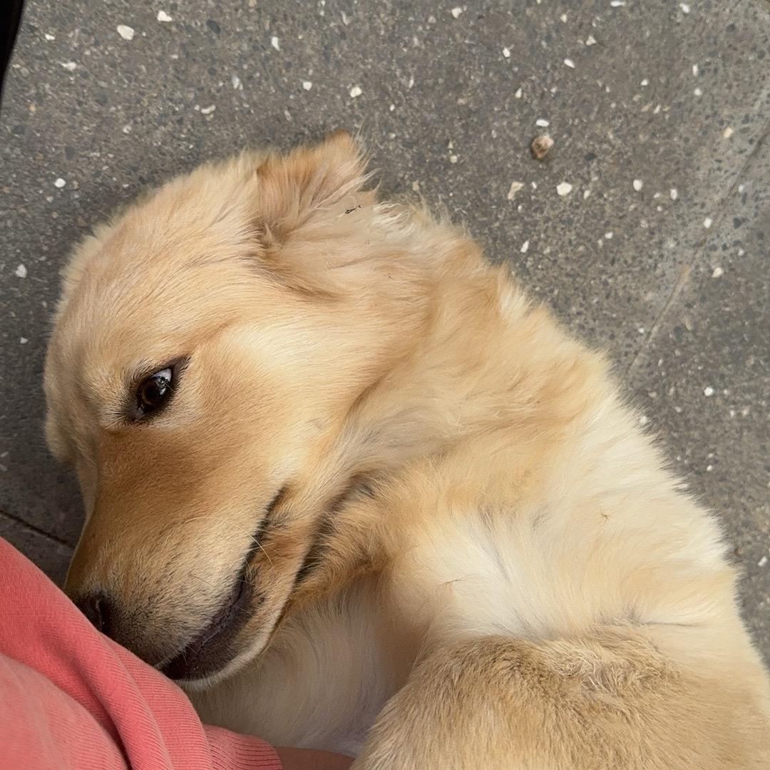 自愈