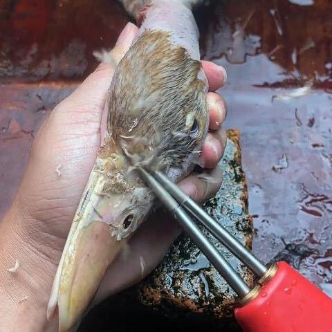 鼎力科技
