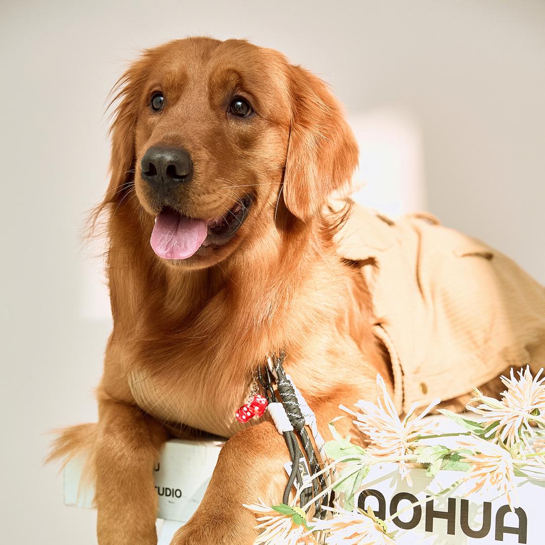 王子不是酱油色！