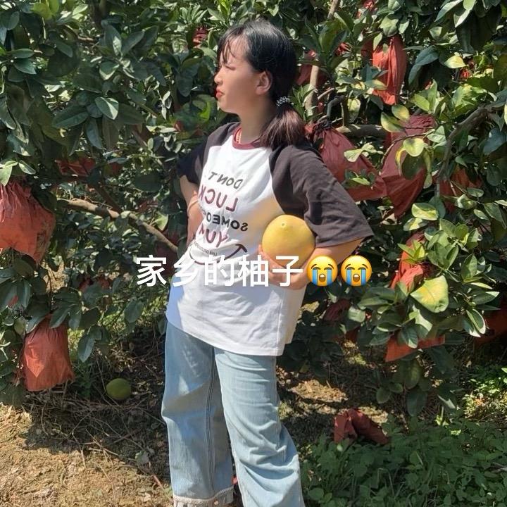 小红秀(福建平和红心密柚)