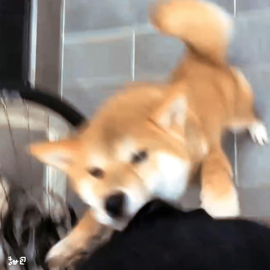 炒酸奶小妞