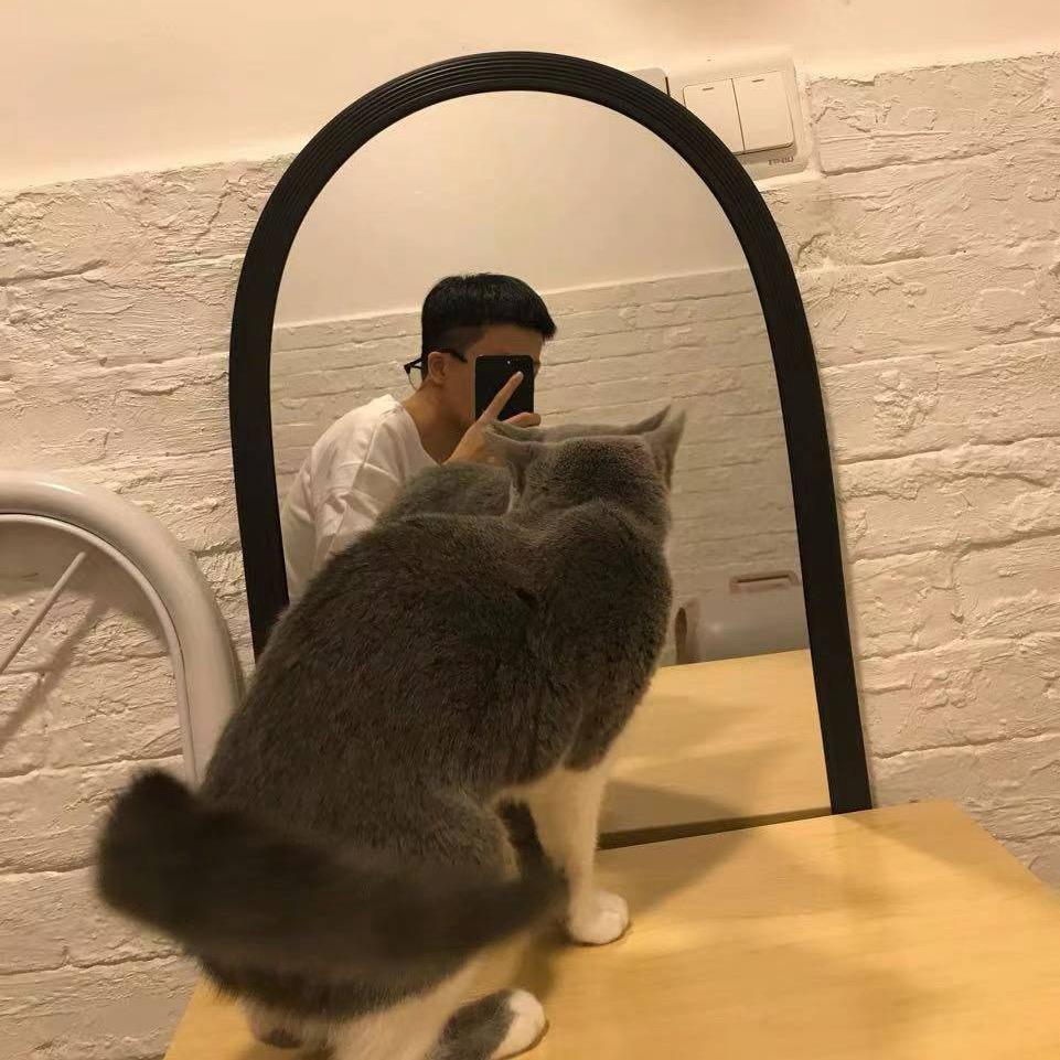 顾夕🧊（自闭版）