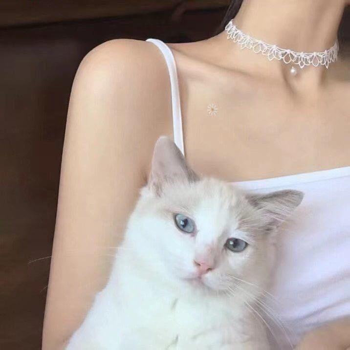 我不会生气✨