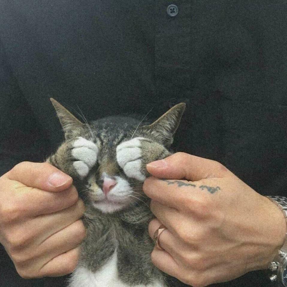 琳慧