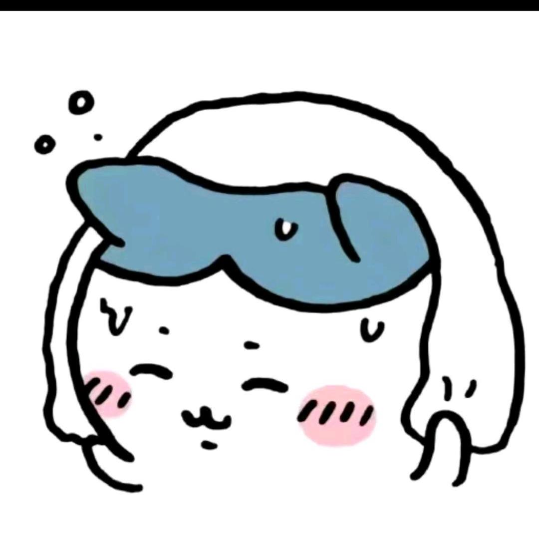 没ins