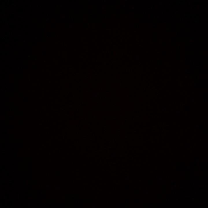 譯