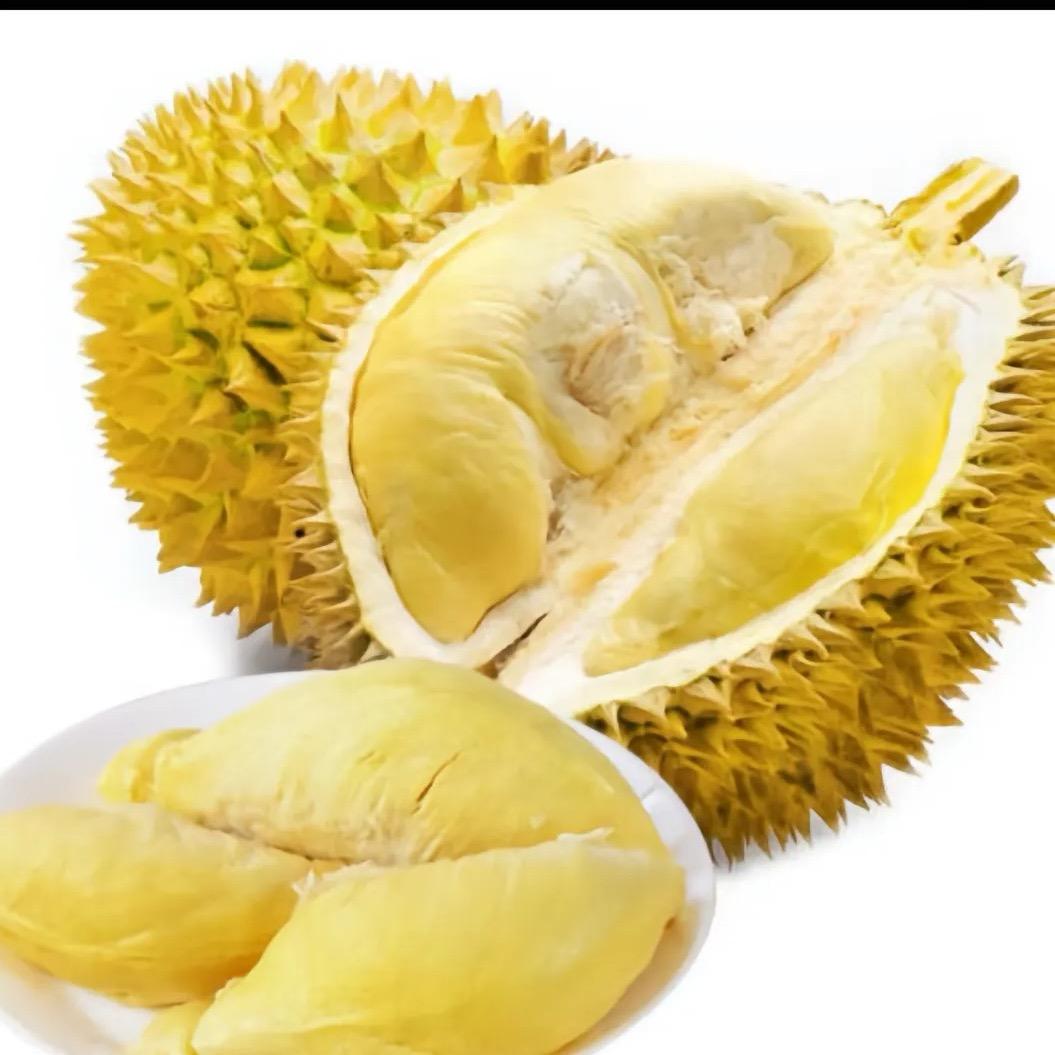 榴莲公主（泰国金枕榴莲源头）