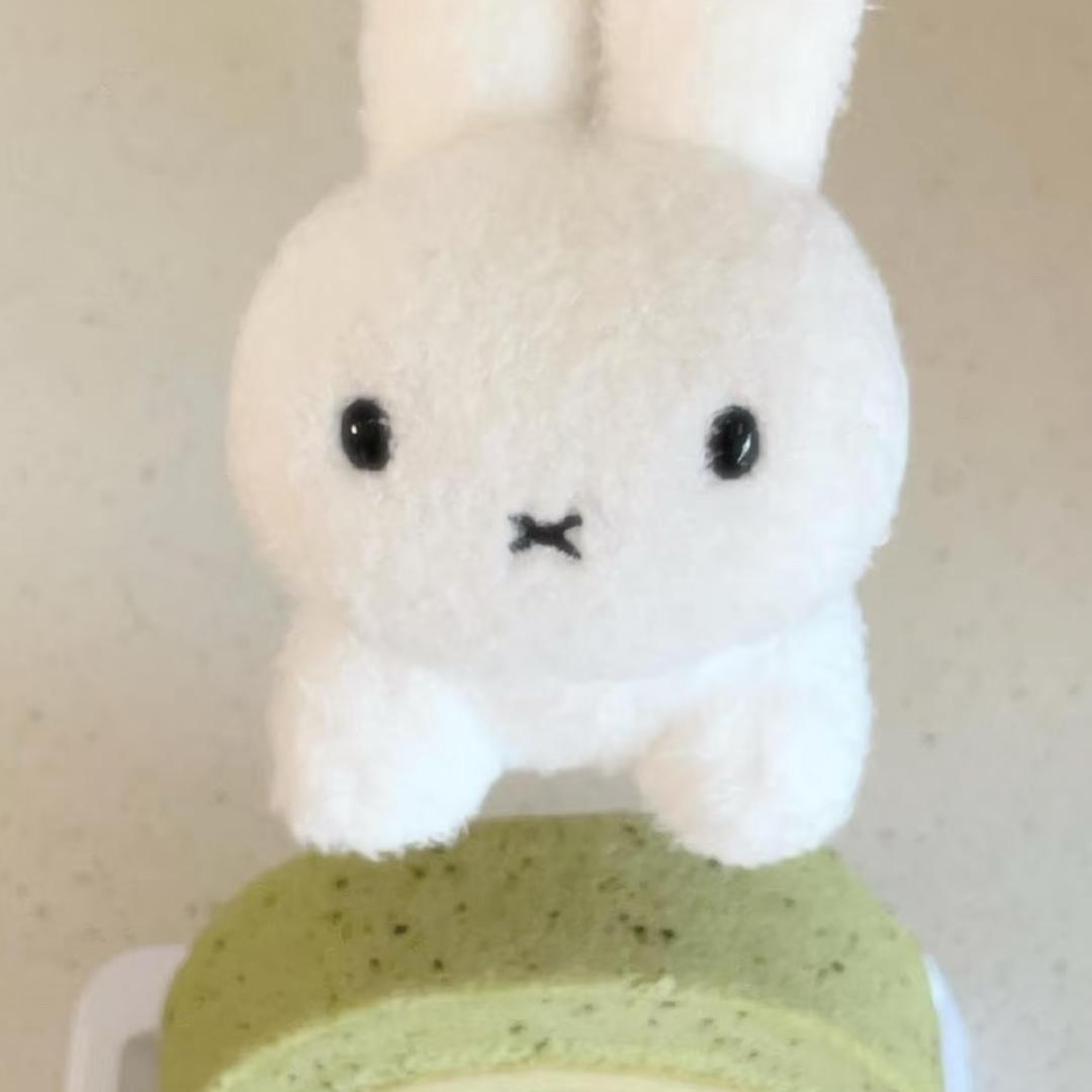 枝枝