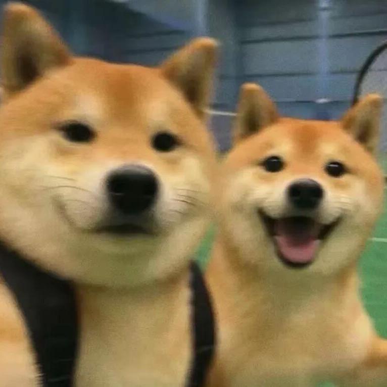 雨眠
