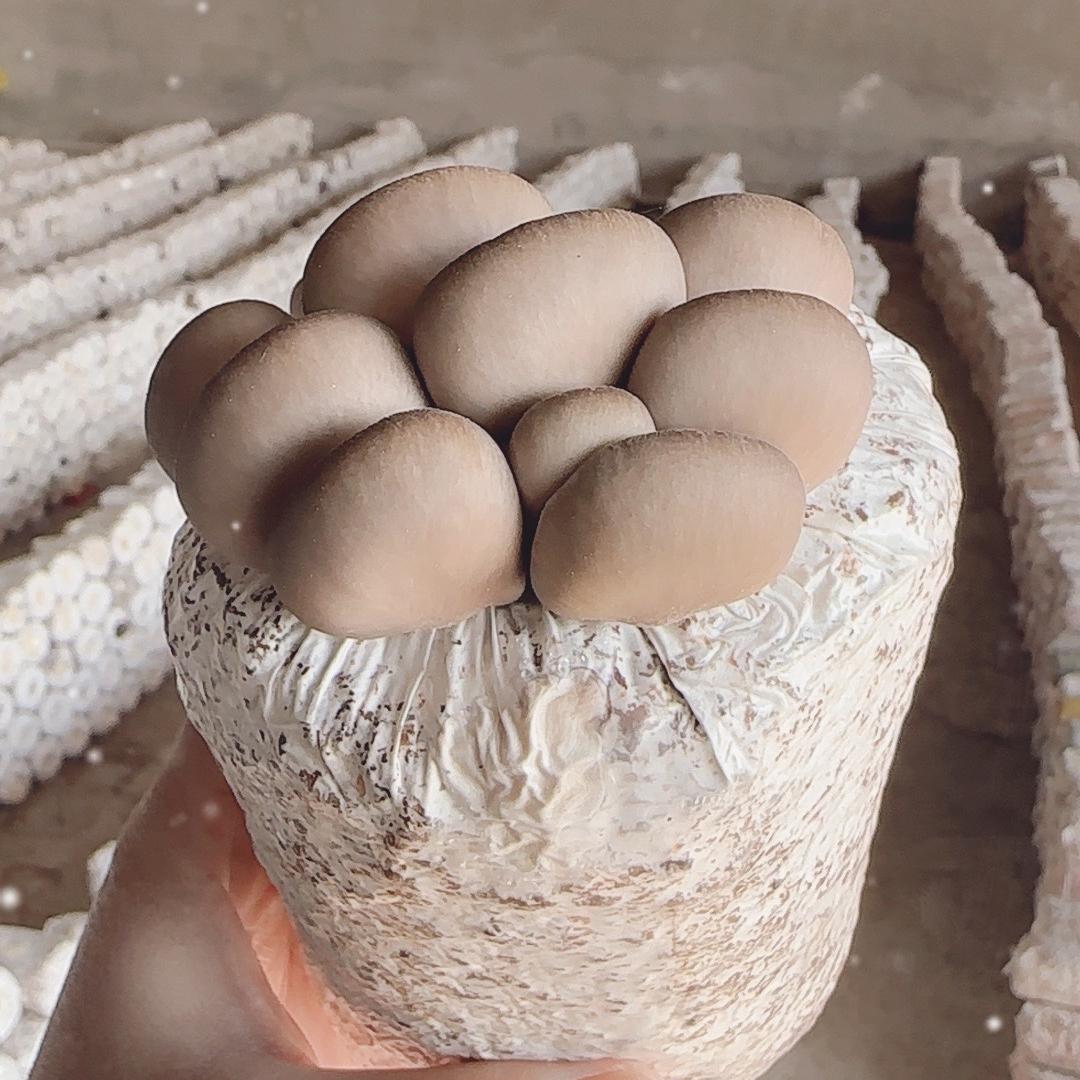 润然商贸精品铺子