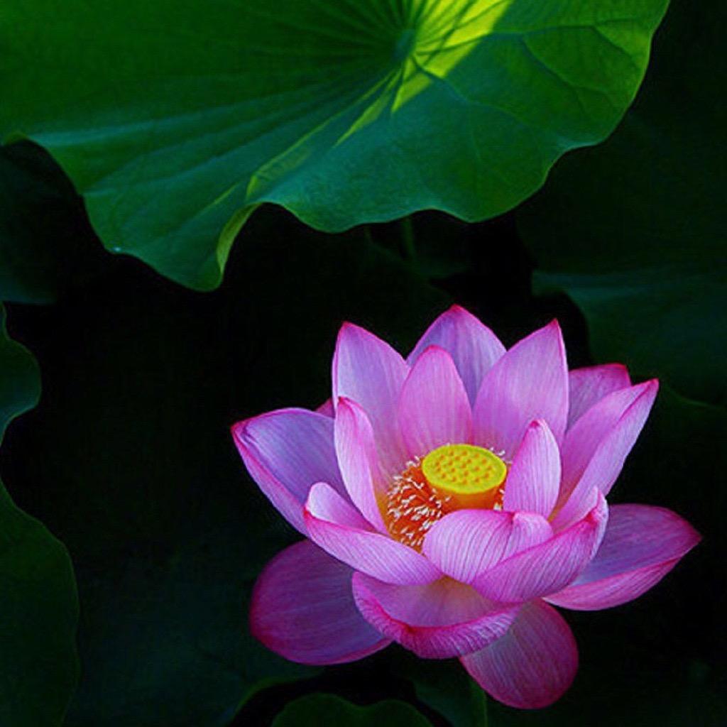 江苏新宇宙机房设备有限公司