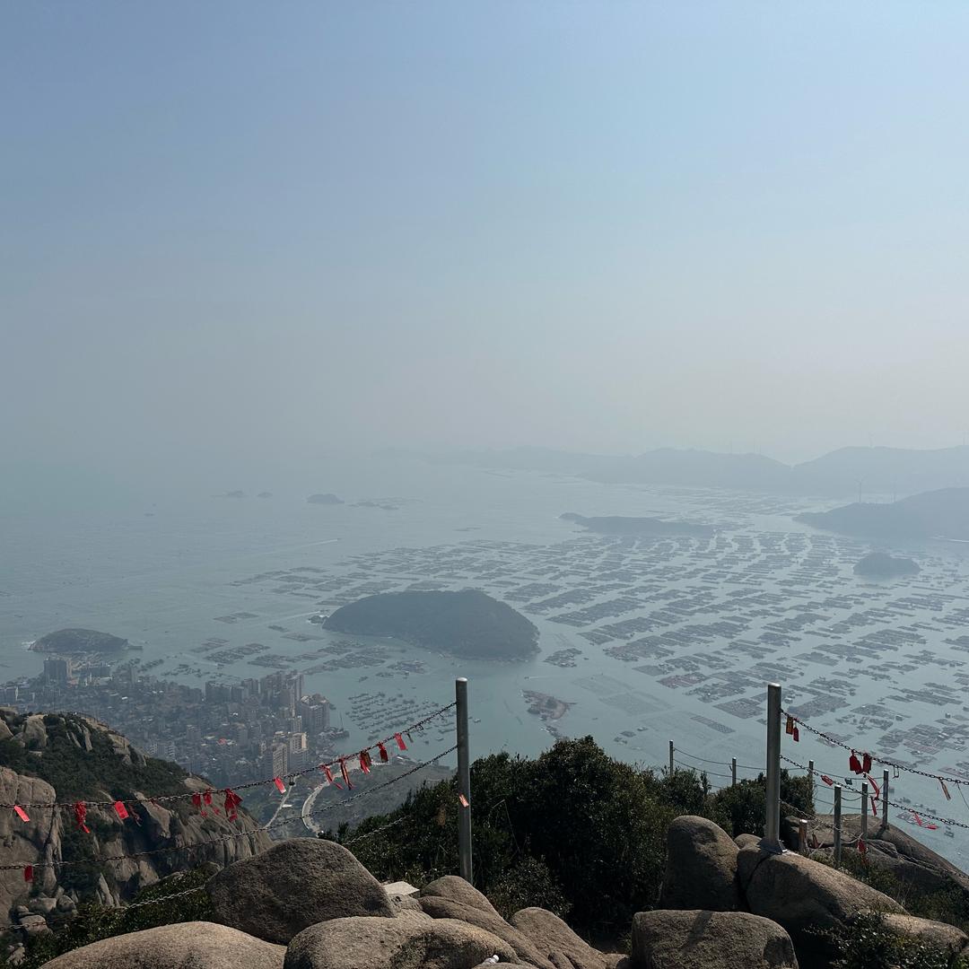 大逗比