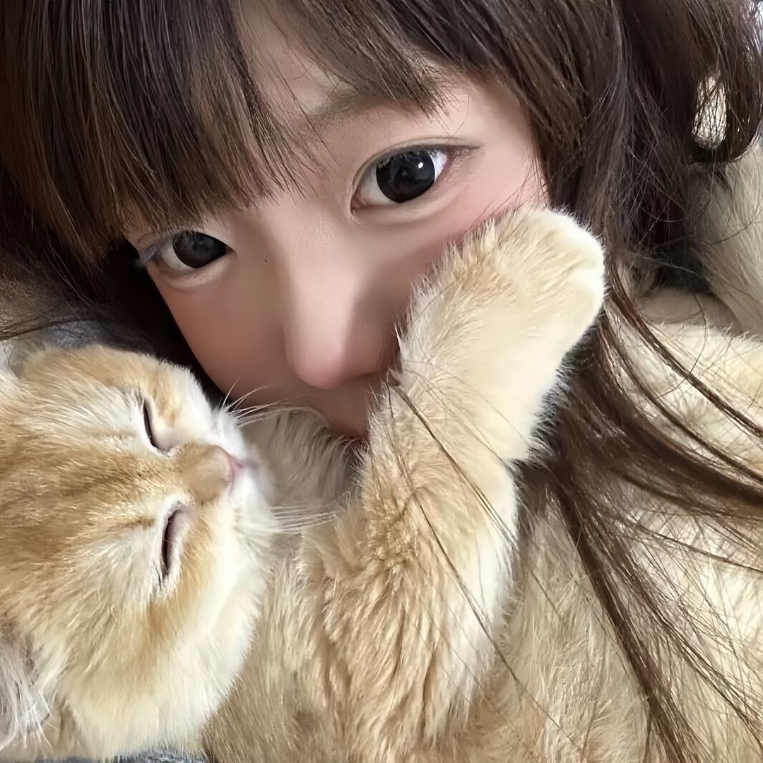 软泥糕               🐥