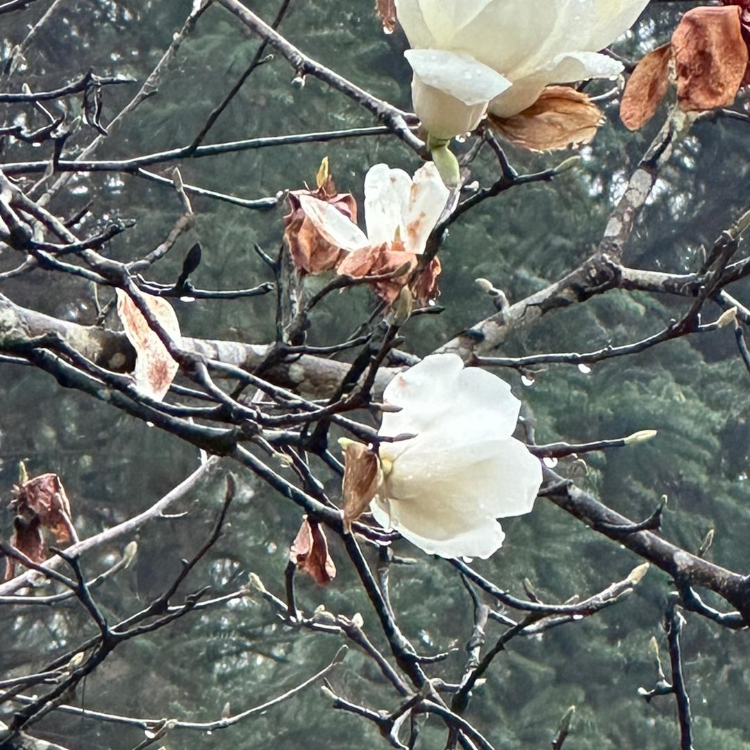 热爱祖国热爱生活