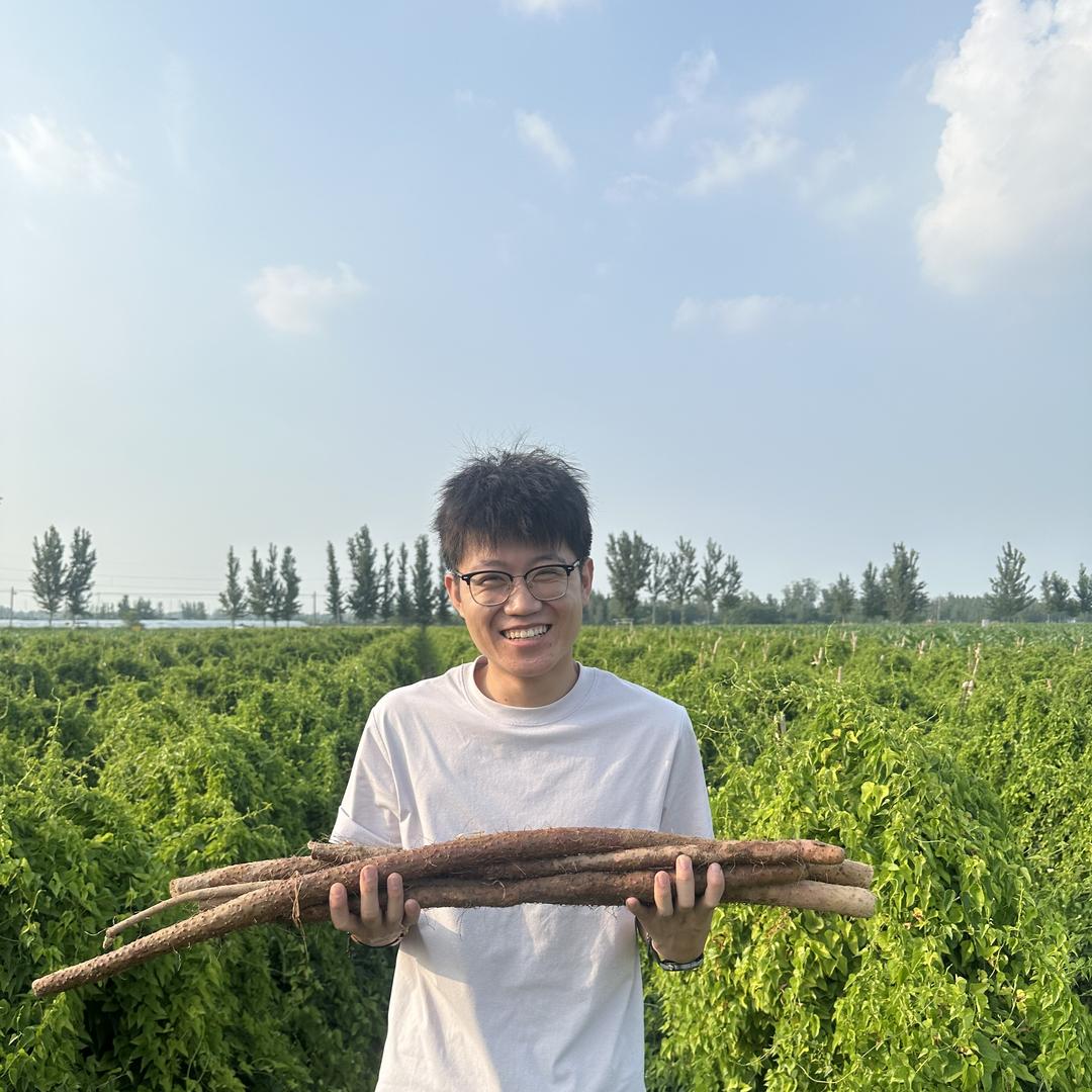 木帅生鲜（铁棍山药）
