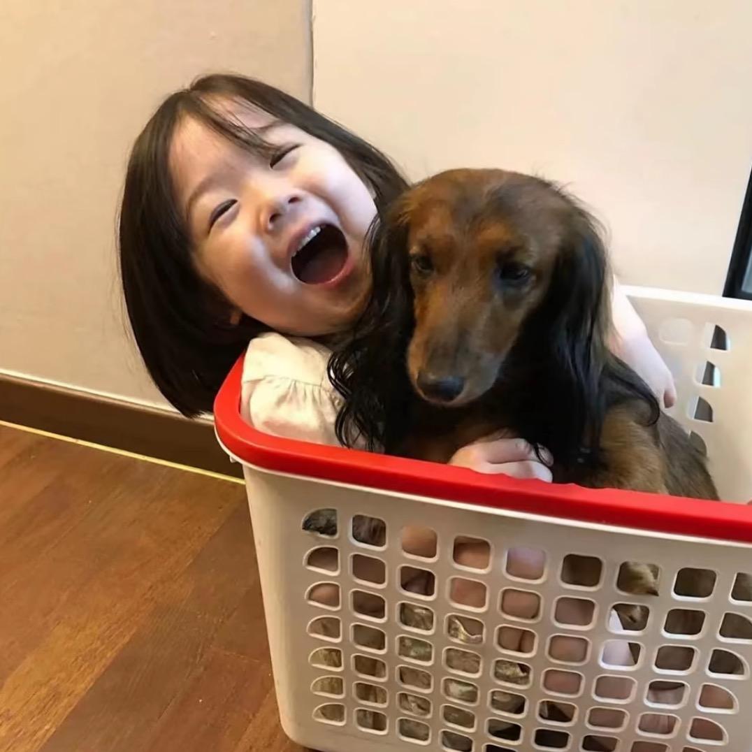 碎芝士