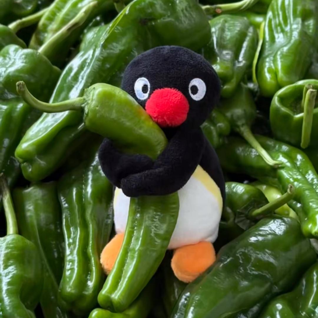 健康来好运来钱来