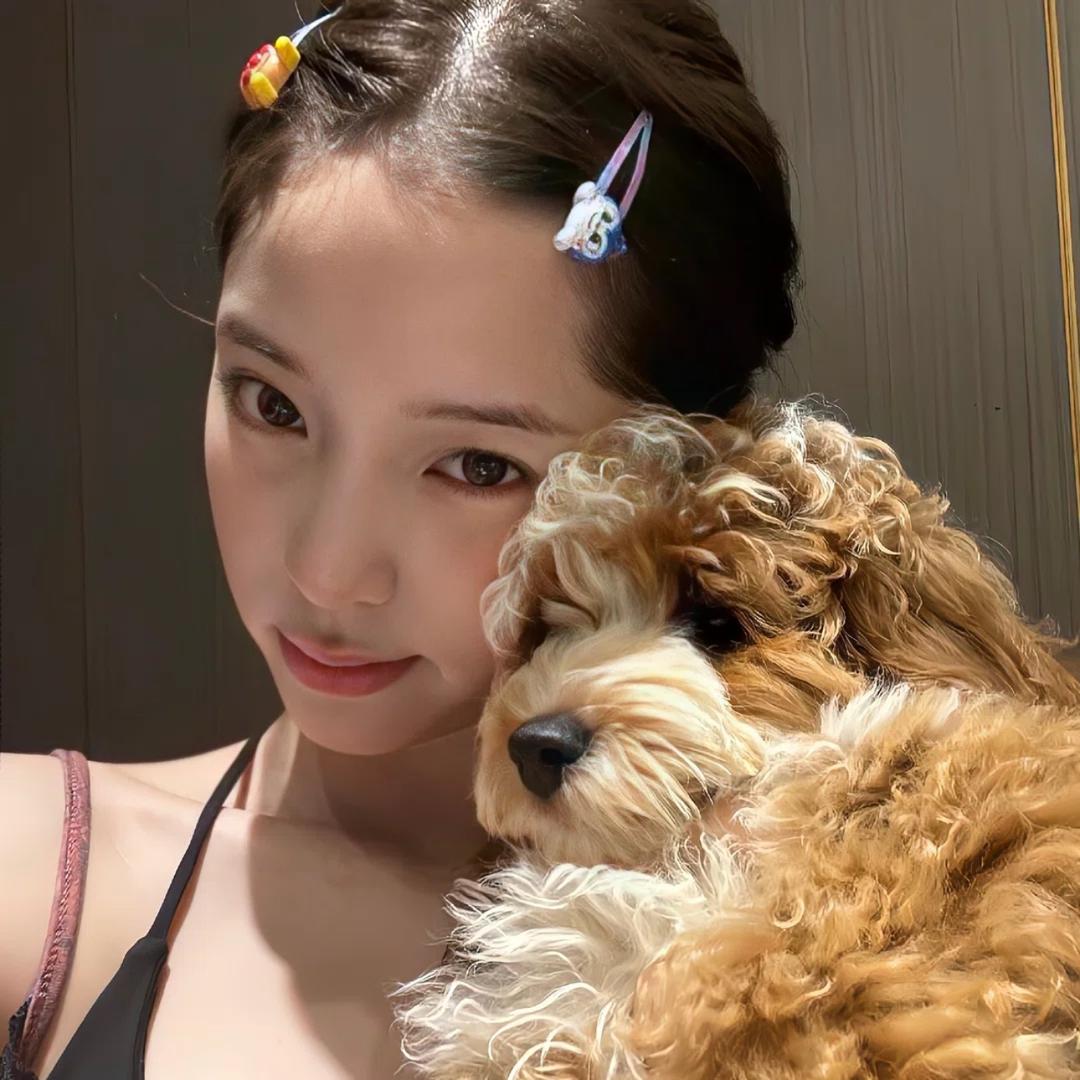 甜瓜🍈