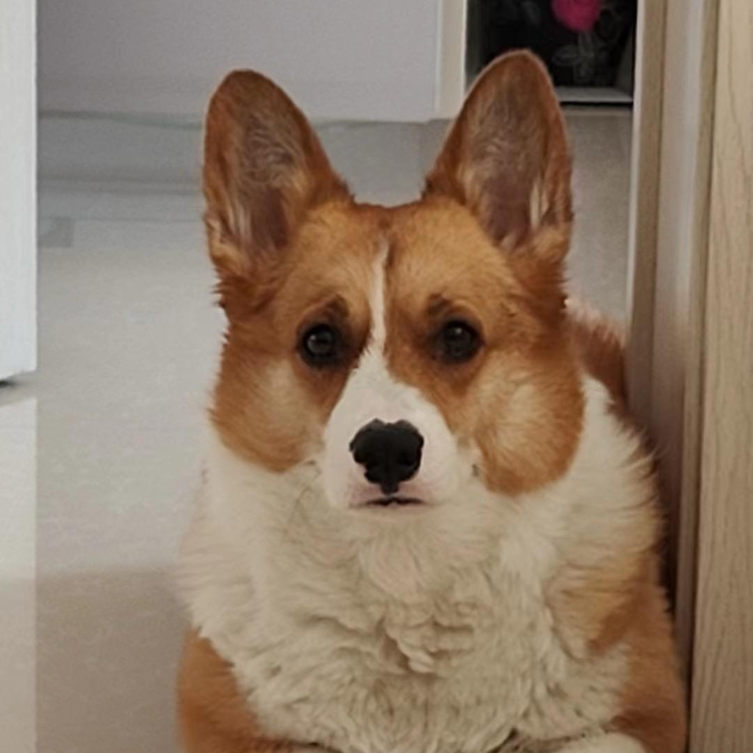 一路顺风🍋‍🟩