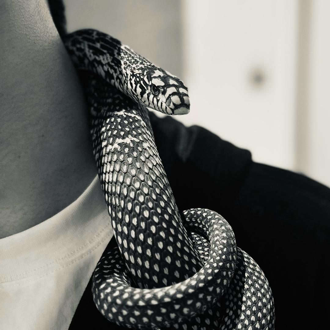 疼老师🕸️