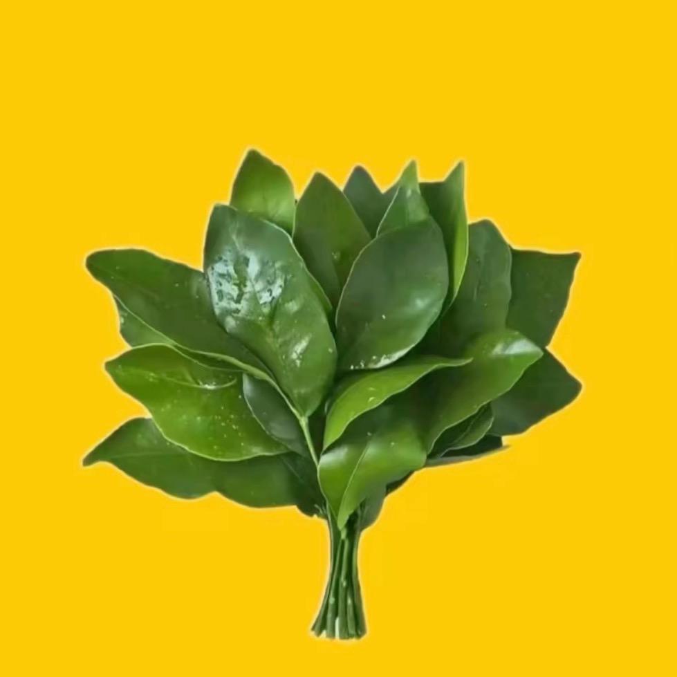 记不住