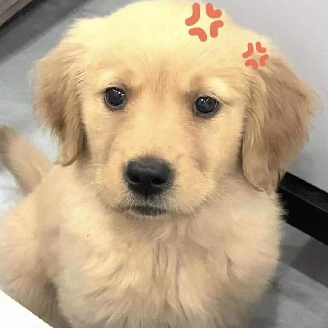 Rrr