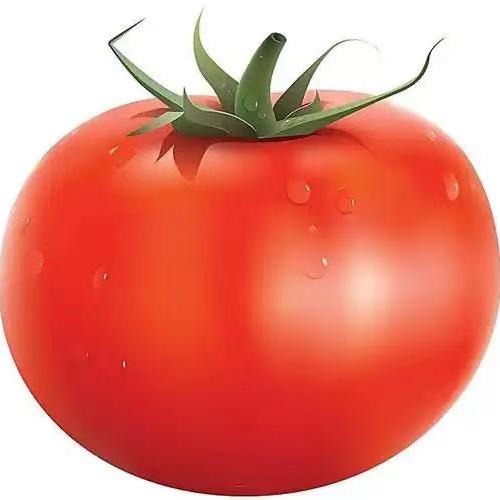 大番茄🍅老师