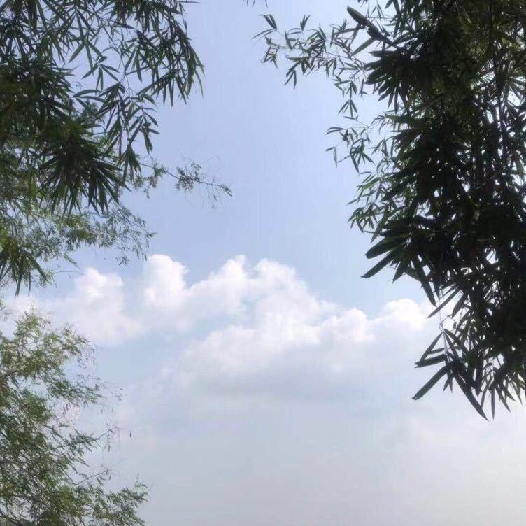 是a