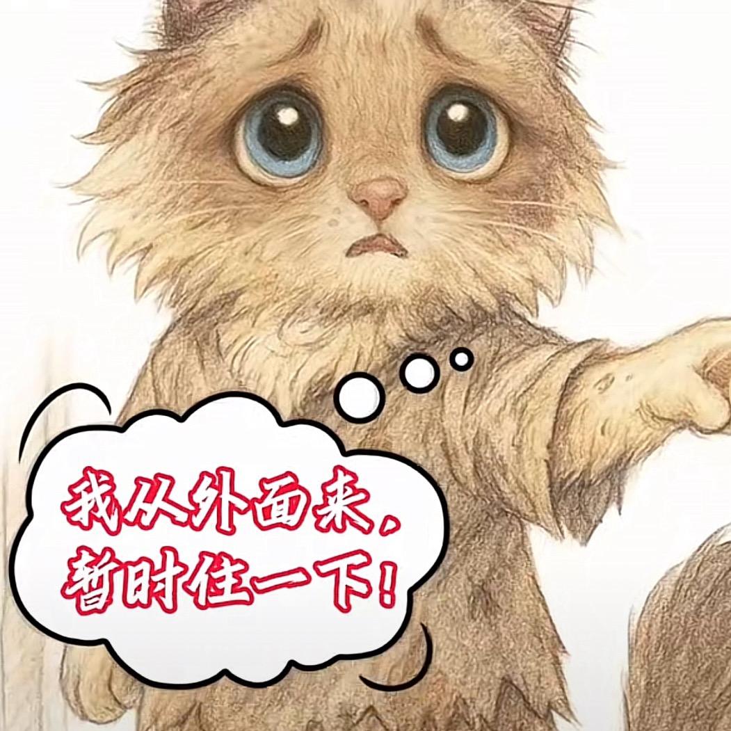 🐈‍⬛🐈😺🐱