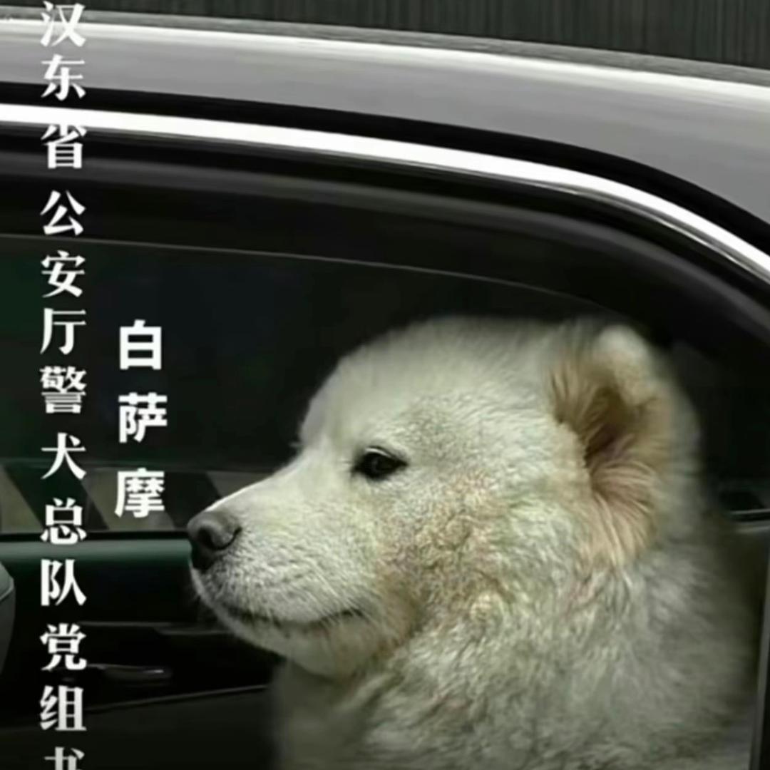 小小帅下士