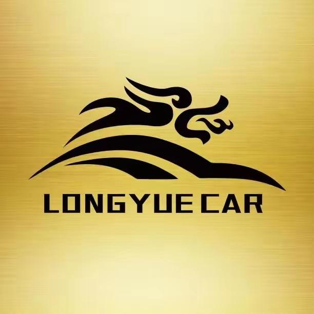 阜阳龙跃汽车