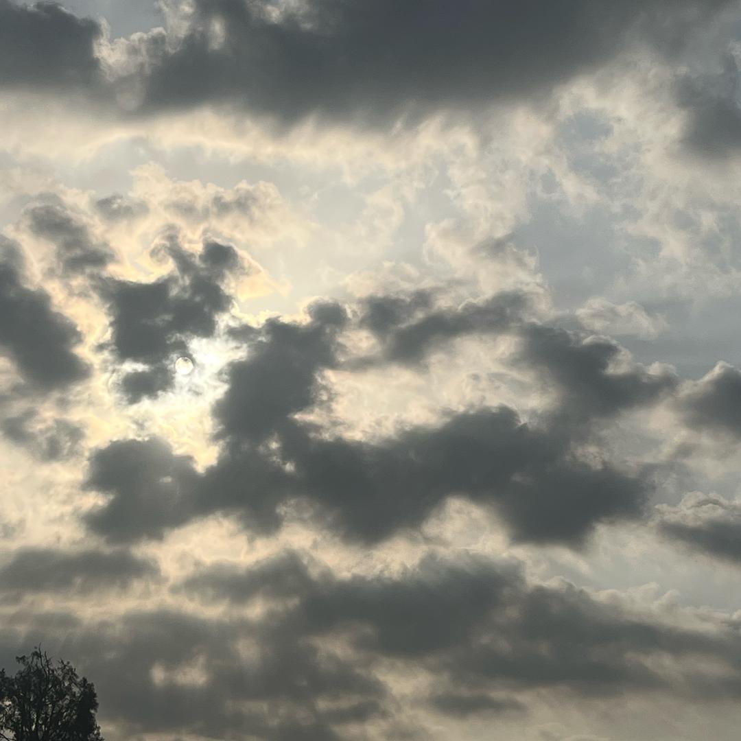 精彩小陈的日常生活