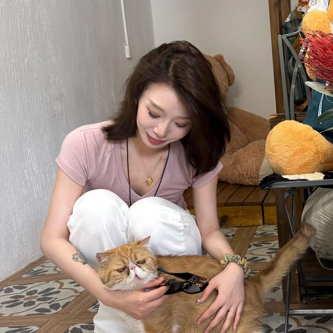 小野猫～