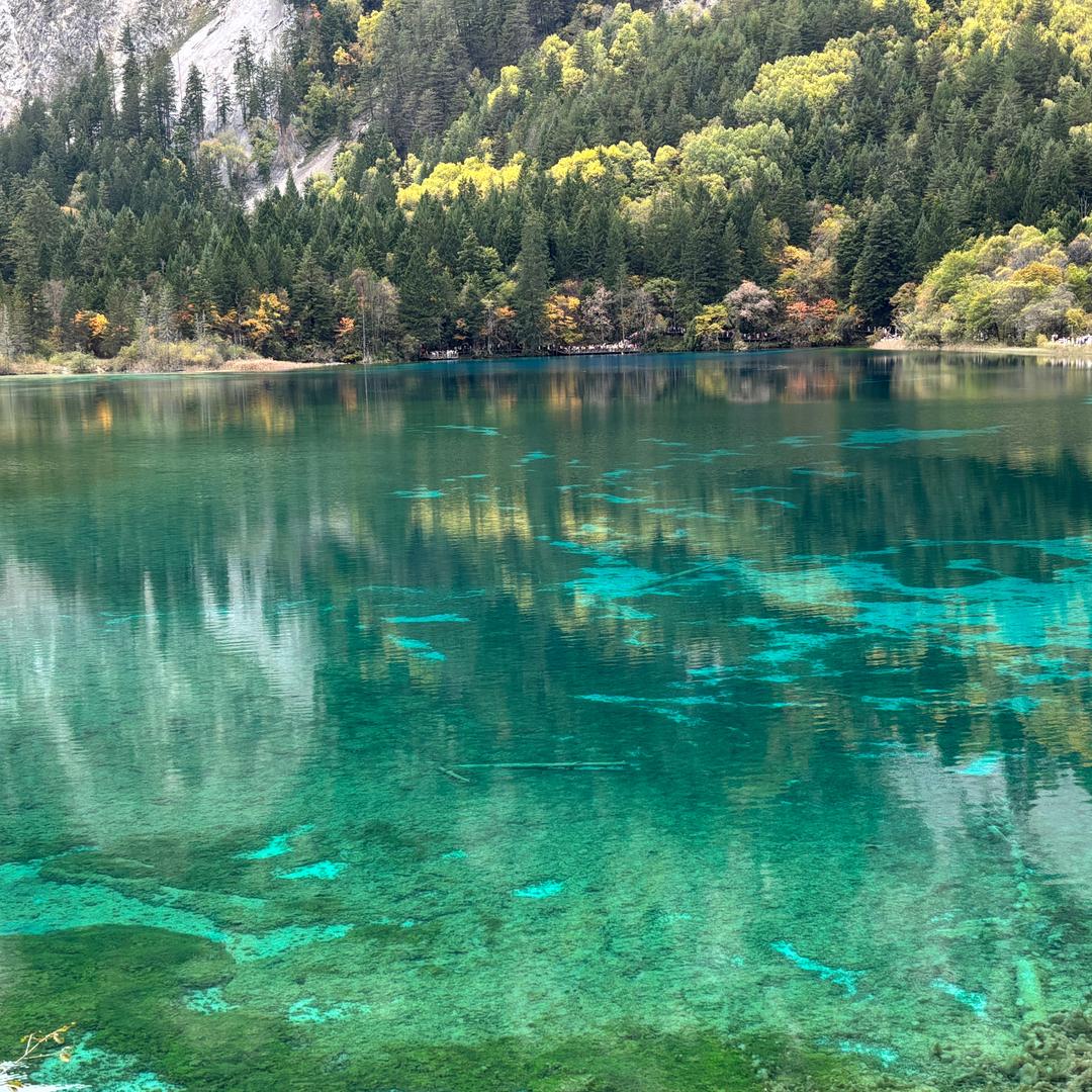 创业班的欢同学