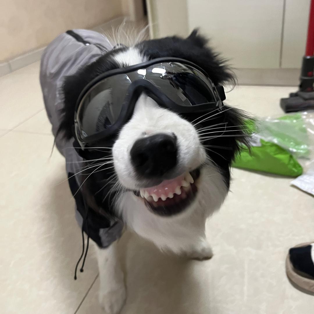 索索呀、