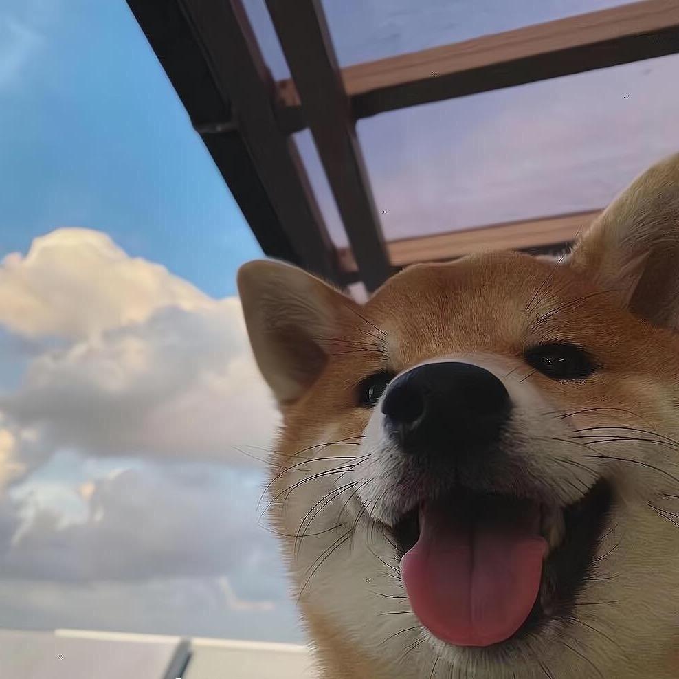 爆发吧小宇宙