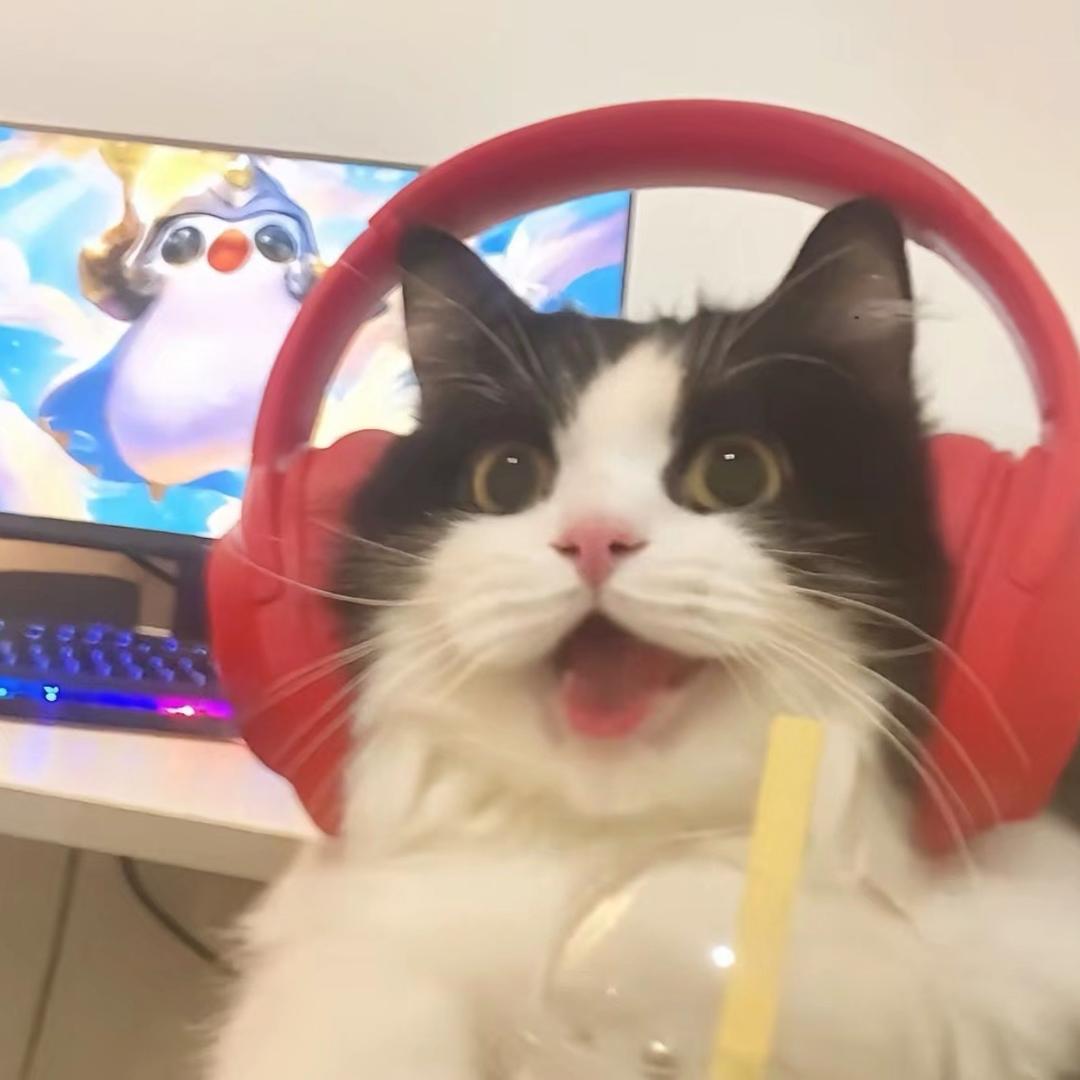 呆头丸子