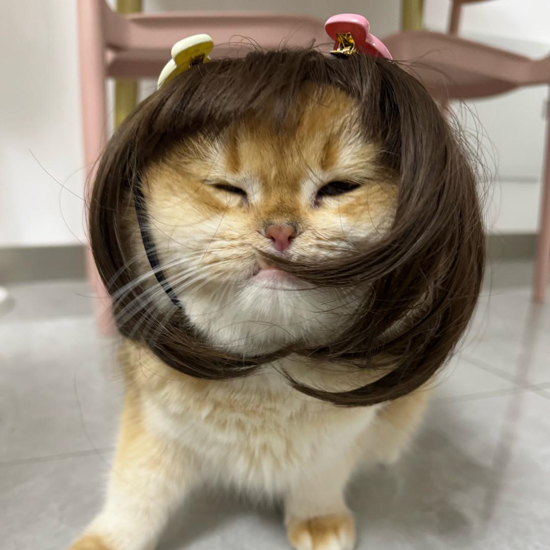 地包天大福不emo