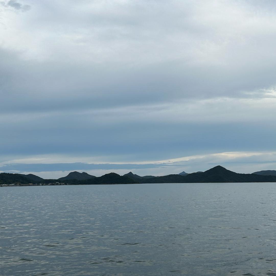 平湖羽绒服生产批发工厂店