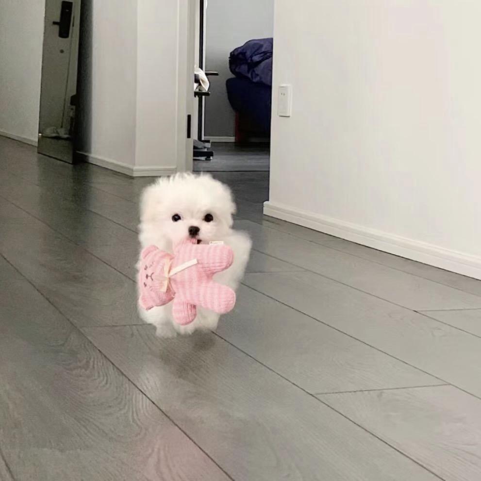 My_